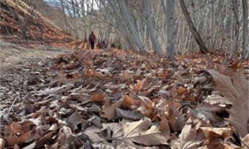 ارتفاعات شمال سبزوار